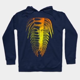 Trilobite Orange Yellow Color Splash Design Hoodie